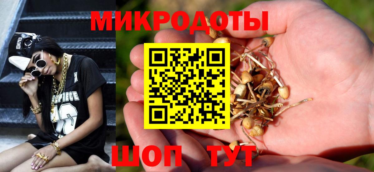 Южноуральск  Псилоцибиновые грибы Psilocybe  где найти наркотики  Галлюциногенные грибы мухоморы  Вход с VPN 